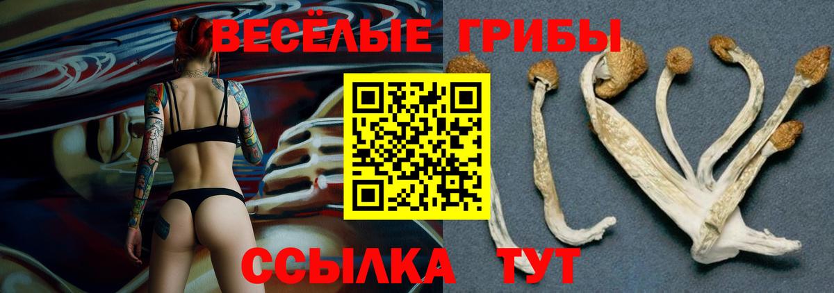 Псилоцибиновые грибы мицелий Саки
